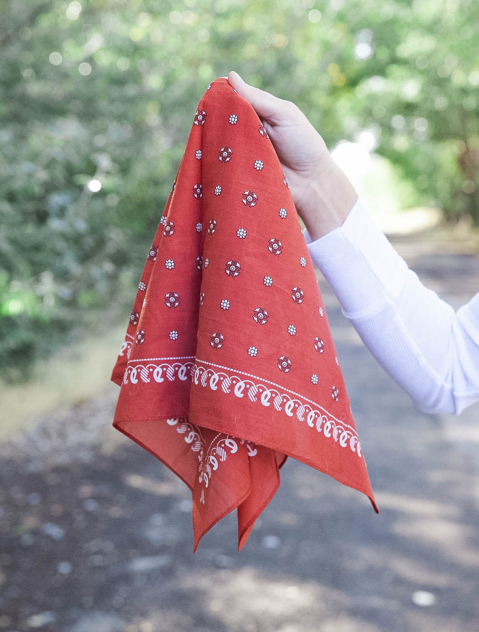 Ryann Paisley Bandana