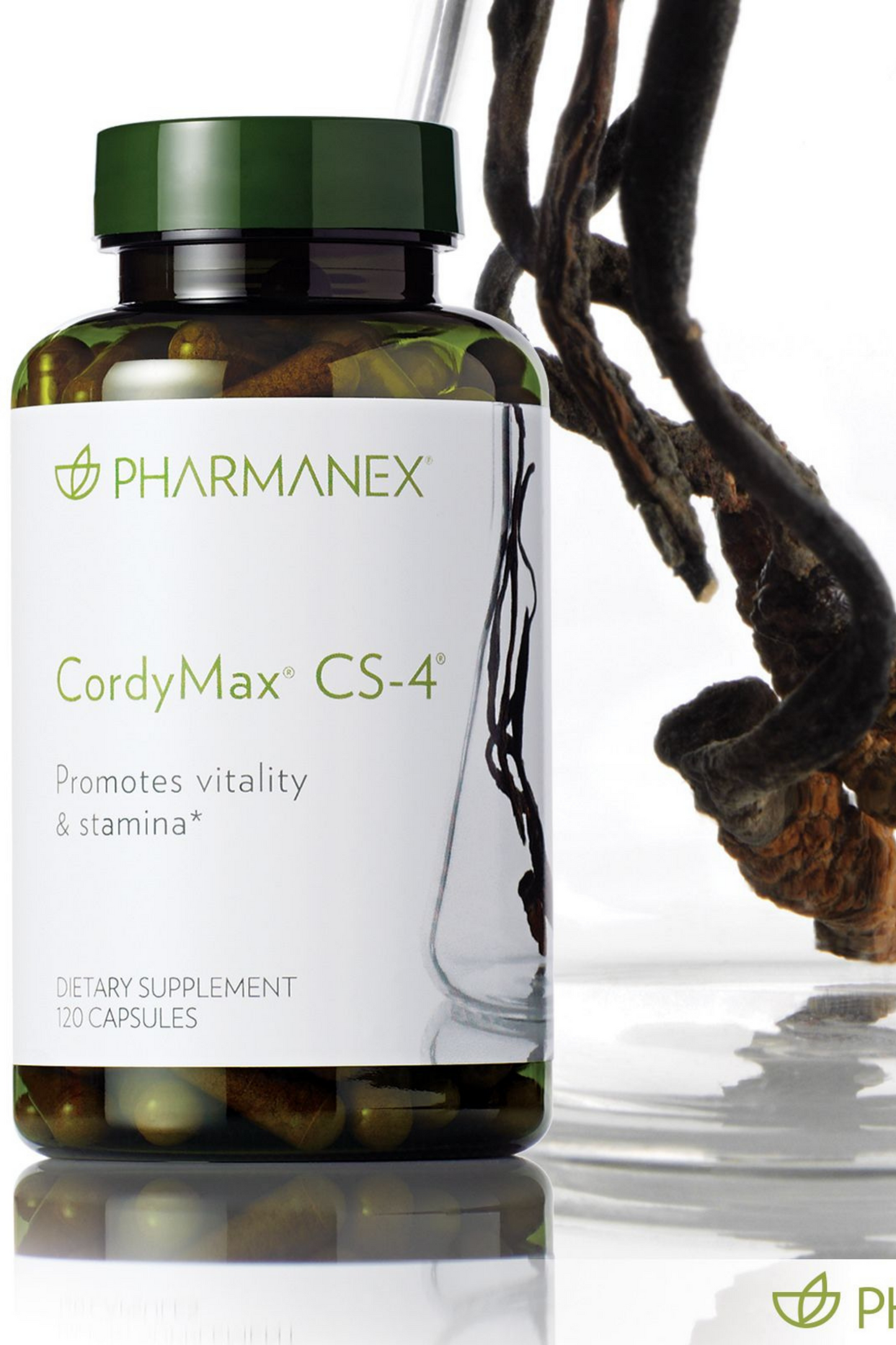 CordyMax Cs-4®