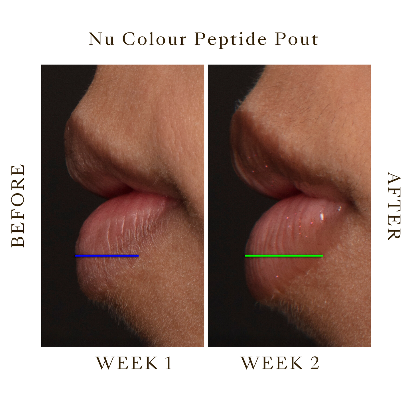 Lip Plump Peptide Pout