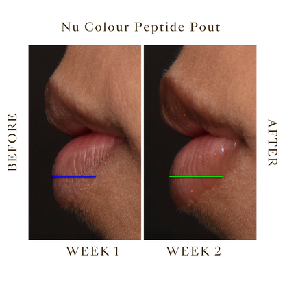 Lip Plump Peptide Pout